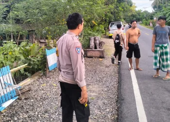 Warga Totolisi Jadi Korban Tabrak Lari, Polsek Sendana Lakukan Penyelidikan