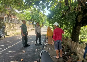 Respon Cepat Bhabinkamtibmas Polsek Bacukiki Antisipasi Pohon Rawan Tumbang