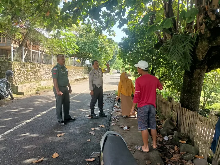 Respon Cepat Bhabinkamtibmas Polsek Bacukiki Antisipasi Pohon Rawan Tumbang