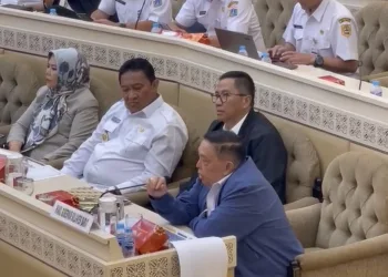Wagub Sulbar Sampaikan Isu Strategis Pembangunan Daerah di Komisi II DPR RI