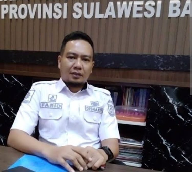 Dampingi Pencari Kerja Kenali Potensi Diri, Disnaker Sulbar Maksimalkan Penyuluhan, Bimbingan Jabatan dan Forum Komunikasi HRD