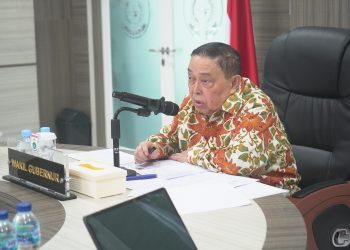 Wagub Sulbar: Tim Terpadu Pengendalian Tambang Harus Berkomunikasi dengan Baik dengan Masyarakat