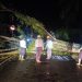 Pohon Tumbang Tutupi Jalan Trans Mamuju-Majene, Polsek Malunda dan Warga Gotong Royong Bersihkan Material