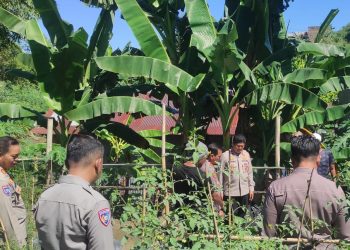 Menuju Hari Bhayangkara ke-79, Polres Parepare Gelar Lomba Pekarangan Pangan Bergizi di Kelurahan Tiro Sompe