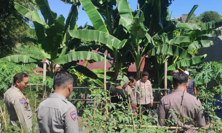 Menuju Hari Bhayangkara ke-79, Polres Parepare Gelar Lomba Pekarangan Pangan Bergizi di Kelurahan Tiro Sompe