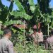 Menuju Hari Bhayangkara ke-79, Polres Parepare Gelar Lomba Pekarangan Pangan Bergizi di Kelurahan Tiro Sompe
