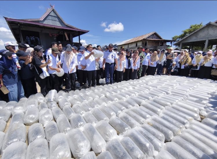 Syaharuddin Alrif Tebar 286 Ribu Benih Ikan di Danau Sidenreng, Total Restocking Capai 560 Ribu Ekor