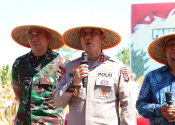 Sukses Dongkrak Produksi Jagung Hingga 33 Persen, Kapolda Sulsel Lapor ke Presiden