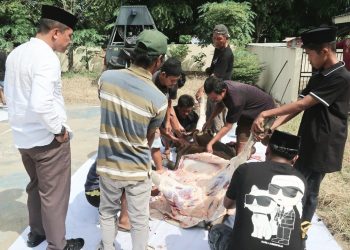 Polres Parepare Kurban 6 Ekor Sapi, Ini Harapan Kapolres !!!