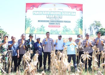 Kapolres Majene Hadiri Panen Raya Jagung Serentak Kuartal II dalam Rangka Mendukung Swasembada Pangan 2025