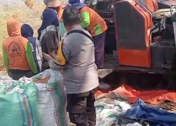 Sambut Hari Bhayangkara ke-79, Polres Parepare Panen Jagung Bersama Kelompok Tani Galung Maloang