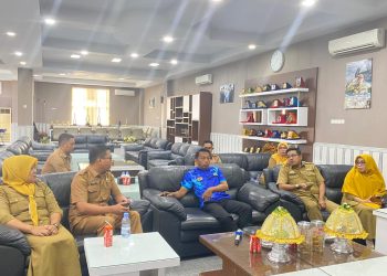 Sidrap Siap Adaptasi Birokrasi Modern, Bupati Syaharuddin Alrif Hadiri Rapat DPR RI Bahas ASN