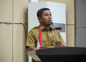 Tasming Hamid Tekankan Pentingnya Sistem Pengendalian Intern di Setiap OPD