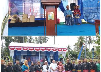 Desa Lombong Timur: 14 Tahun Berkembang, Merajut Kebersamaan Menuju Masa Depan yang Lebih Baik