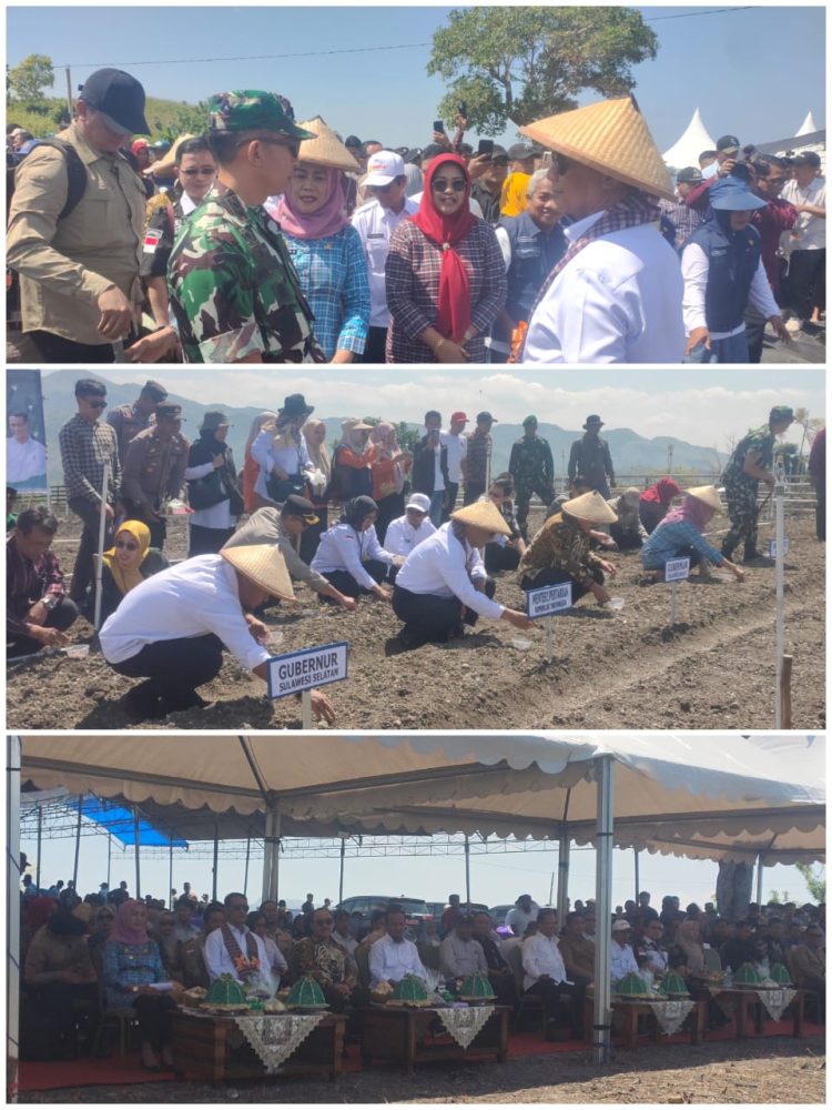 Mentan Amran Canangkan Majene Jadi “Kabupaten Bawang” di Sulawesi Barat, Pasok Kawasan Timur Indonesia