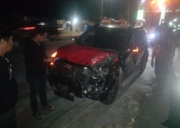 Sapi Tabrak Mobil di Batas Kota, Polsek Bacukiki Turun Tangan Selesaikan Masalah