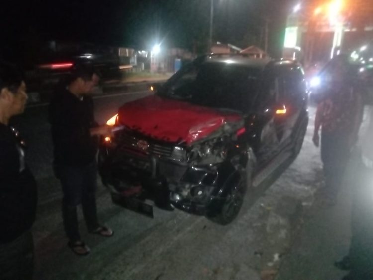 Sapi Tabrak Mobil di Batas Kota, Polsek Bacukiki Turun Tangan Selesaikan Masalah