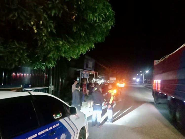 Sapi Seruduk Mobil di Perbatasan Parepare–Barru, Polisi Telusuri Jejak hingga ke Proses Penyembelihan