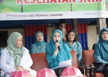 PKK Parepare Apresiasi Peluncuran Posyandu Jiwa, Serukan Penghapusan Stigma ODGJ