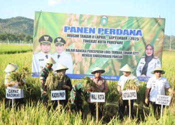 Tasming Hamid Wujudkan Janji Politik, Petani Parepare Nikmati Asuransi dan Panen Benih Perdana
