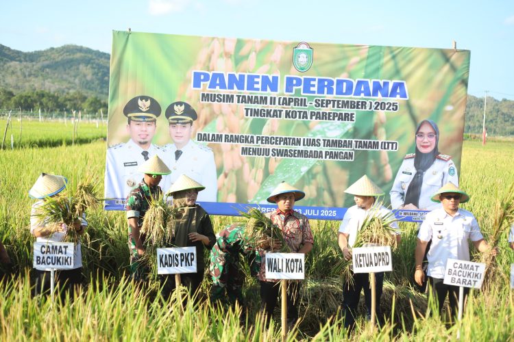 Tasming Hamid Wujudkan Janji Politik, Petani Parepare Nikmati Asuransi dan Panen Benih Perdana