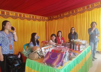Kreatif dan Penuh Makna, Penyuluh KB Mamasa Tampilkan Karya Khas Daerah di Puncak HARGANAS