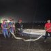 Damkar Parepare Evakuasi Ular Piton Sepanjang Lima Meter di Wattang Soreang