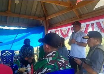 Panen Raya Wortel di Desa Lemsа, Bupati Mamasa Dorong Percepatan Aksi Nyata di Sektor Pertanian