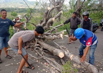 Bhabinkamtibmas dan Warga Bersihkan Pohon Tumbang yang Halangi Akses Jalan di Bacukiki Parepare