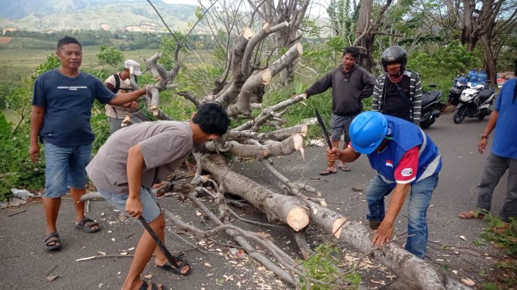 Bhabinkamtibmas dan Warga Bersihkan Pohon Tumbang yang Halangi Akses Jalan di Bacukiki Parepare