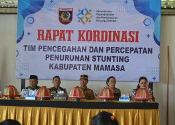Wabup Mamasa Tegaskan Pentingnya Data Akurat dalam Percepatan Penurunan Stunting