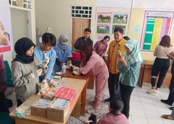 Mamasa Gelar Vaksinasi dan Sterilisasi Gratis Hewan, Cegah Penyebaran Rabies