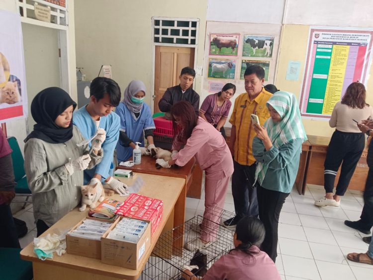 Mamasa Gelar Vaksinasi dan Sterilisasi Gratis Hewan, Cegah Penyebaran Rabies