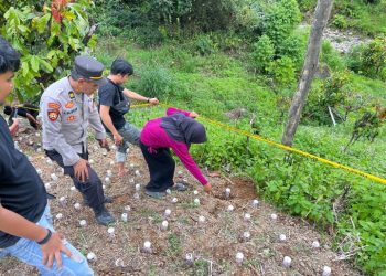 Dua Mortir Ditemukan Saat Warga Menggali Tanah untuk Menanam Nilam, Polisi Lakukan Pemeriksaan