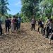 Polres Majene Laksanakan Penanaman Jagung di Lahan Pondok Pesantren Miftahul Jihad Tande