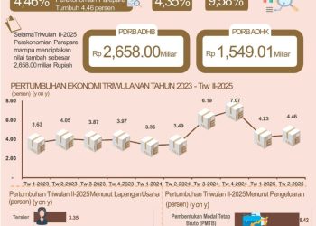 Ekonomi Parepare Tumbuh 4,46 Persen di Triwulan II-2025, Investasi Jadi Penggerak Utama