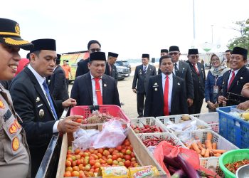 Tasming Hamid Dukung Gerakan Pangan Murah: Solusi Konkret Jaga Daya Beli dan Kendalikan Inflasi