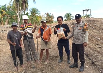 Polsek Pamboang Dukung Program Ketahanan Pangan Nasional Lewat Penanaman Bibit Jagung