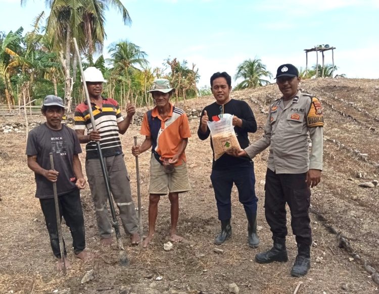 Polsek Pamboang Dukung Program Ketahanan Pangan Nasional Lewat Penanaman Bibit Jagung