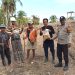 Polsek Pamboang Dukung Program Ketahanan Pangan Nasional Lewat Penanaman Bibit Jagung