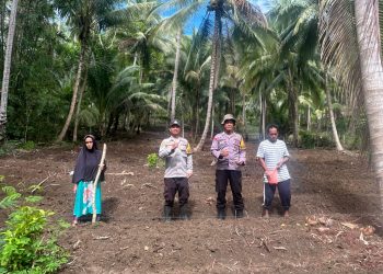 Bhabinkamtibmas Polsek Banggae Ajak Kelompok Tani Pammase Tanam Jagung Hibrida Dukung Ketahanan Pangan