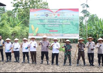 Kapolda Sulbar Ikuti Penanaman Jagung Serentak Dukung Swasembada Pangan 2025 di Kabupaten Majene