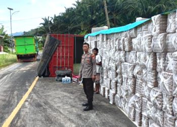 Truk Hino Terguling Terguling di Desa Tubo Apoang, Polsubsektor Tubo Sendana Sigap Amankan Lokasi Kejadian