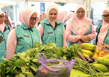 PKK Parepare Dorong UMKM Go Digital Lewat Tani Smart Market