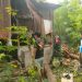 ANGIN KENCANG TERJANG MAJENE,DUA RUMAH WARGA TERTIMPA POHON KELAPA