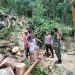 Respons Cepat Bhabinkamtibmas Polsek Banggae Polres Majene Tangani Rumah Warga Tertimpa Pohon di Kecamatan Banggae