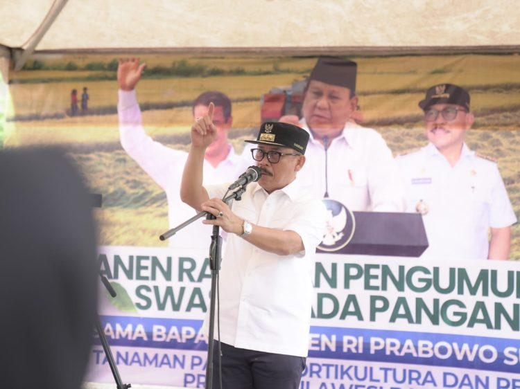 Presiden Umumkan Swasembada Pangan, Sulbar Catat Surplus Beras Hampir 70 Ribu Ton