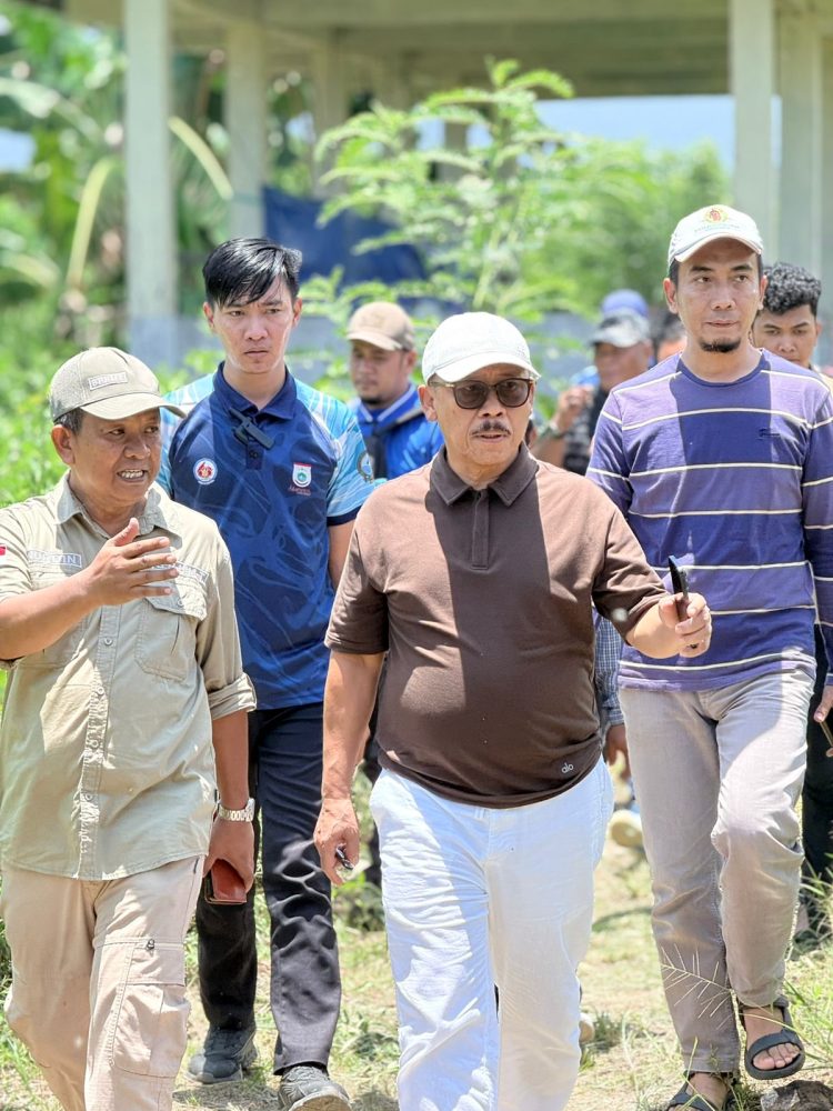 Di Era SDK–JSM, Dinas TPHP Sulbar Catat 1.928 Kelahiran Sapi dari Program IB