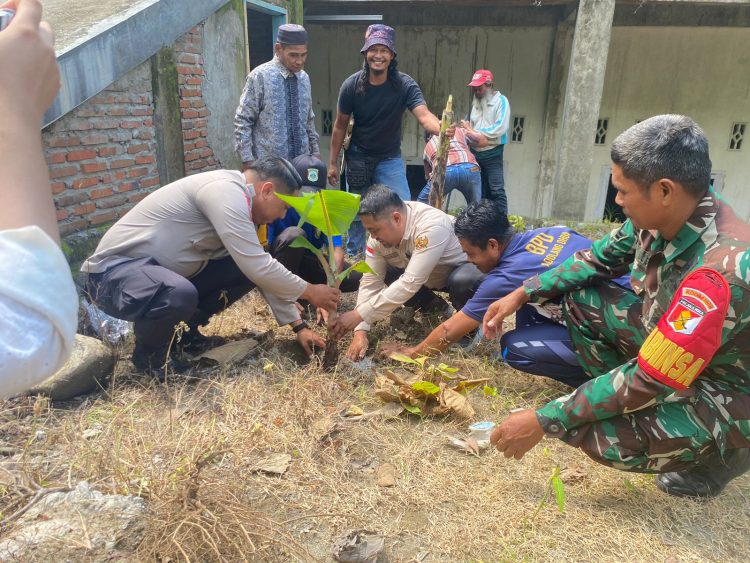 Lestarikan Pisang Pere Khas Adolang Dhua, Bhabinkamtibmas Polsek Pamboang Polres Majene dan Pemdes Lakukan Penanaman Bibit