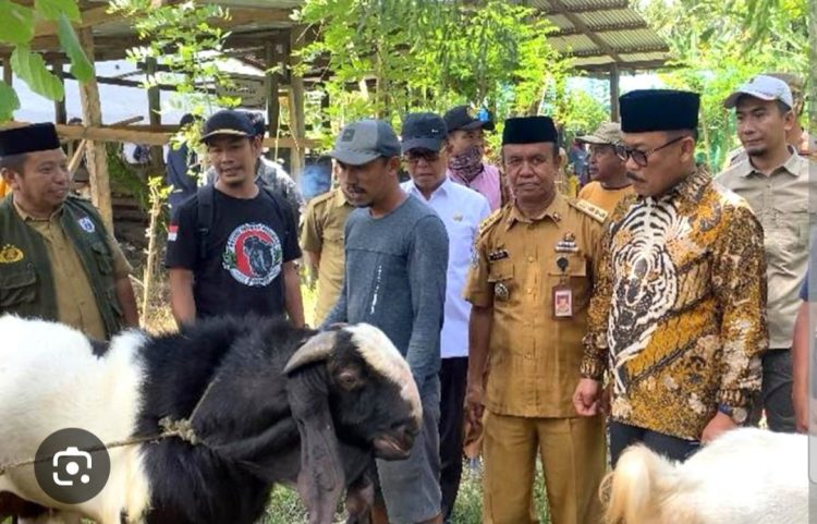 134 Lahir, 276 Bunting: Program Bantuan Kambing SDK-JSM Tunjukkan Hasil Nyata